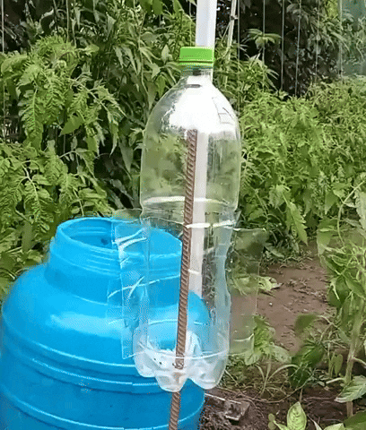 comment-economiser giphyupload GIF