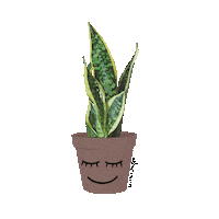 Eyes Plant Sticker