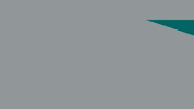 rewiredotorg animation lgbtq pbs years GIF