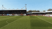officialcrawleytownfc crawley crawley town town team together GIF