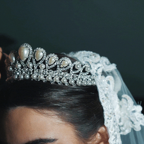 alissenuera giphyupload wedding bridal wedding dress GIF