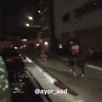 Horse Funny Video GIF