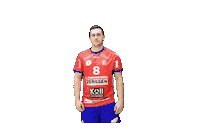 Handball H Sticker by hsg swrd