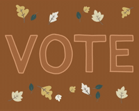 Usa Vote GIF