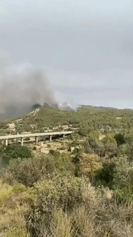 Hundreds Evacuate After Wildfire Breaks Out in Catalonia