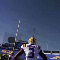 High Five Football GIF by LSU Tigers