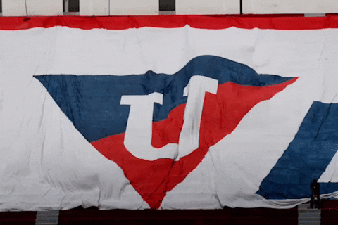 Flags Bandera GIF by LDU_Oficial