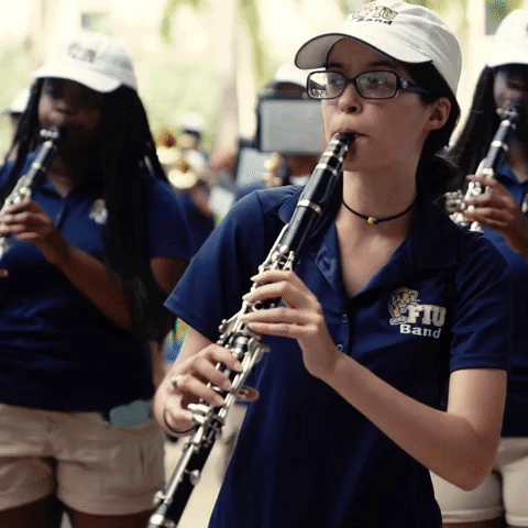 band fiupanthers GIF by FIU