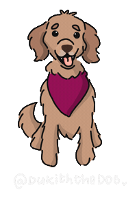 Duke Sticker