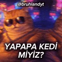 Bruh GIF