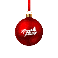 Christmas Ornament Sticker by Hayes Farms