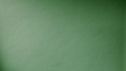thumbs up GIF by MailChimp