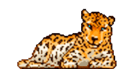 Relaxed Big Cat Sticker