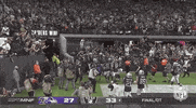 Las Vegas Raiders Football GIF by NFL