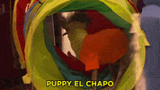 el chapo puppies GIF by Team Coco