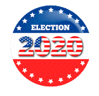 Election 2020 Trump Sticker by Clarín