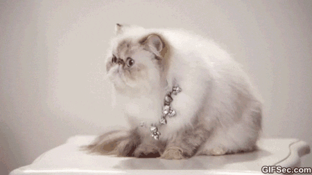 shocked GIF