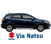 car suzuki Sticker