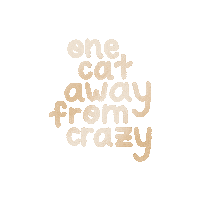 emileighcreates cat cat lover crazy cat lady emileighcreates Sticker