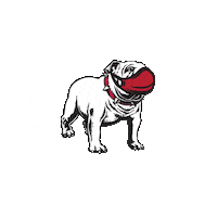 Uga Stay Strong Sticker by University of Georgia