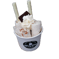 chocolate ice Sticker by Monkey Rolls