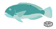 Under The Sea Ocean Sticker by Pallion Point