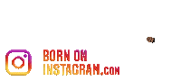 Vishwas Dhulesia Sticker by BORN ON INSTAGRAM