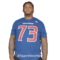 Buffalo Bills Sticker by West Herr