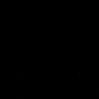 Goal Hockey GIF by Eisbären Berlin