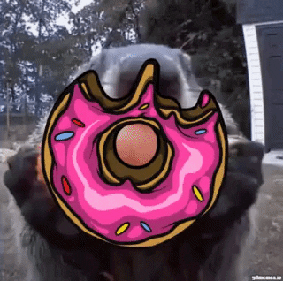 MunchProject giphyupload donut munch pink donut GIF
