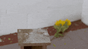 get lost catharsis GIF by Topshelf Records