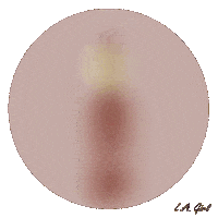 Lips Kiss Sticker by L.A. Girl