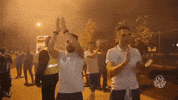 bravo palmas GIF by SE Palmeiras