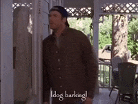 season 3 netflix GIF by Gilmore Girls 