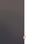 Cat Look GIF