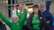 Excited Irish Football GIF by Northern Ireland