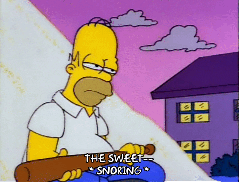 homer simpson GIF