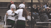 csu rams softball GIF by Colorado State Rams