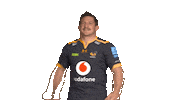 Rugby Sticker by Wasps