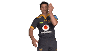 Rugby Sticker by Wasps