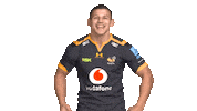 Rugby Sticker by Wasps