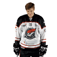 20 Sticker by Piráti Chomutov