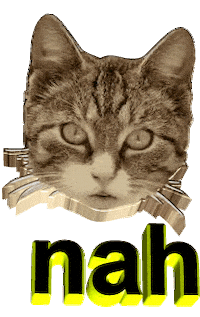 Cat No Sticker by AnimatedText