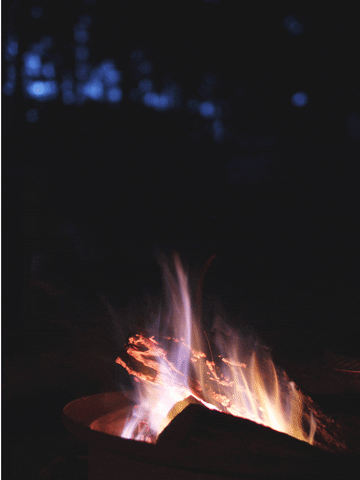 campfire GIF