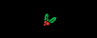 campomeat merry christmas campo meat campomeat angusmeat GIF