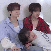 Ald1 GIF