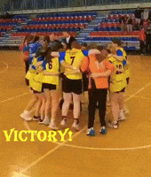 Sport Victory GIF by SlaskiSZS