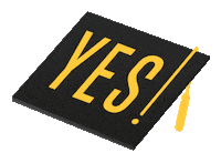 Uom Yes Sticker by The University of Manchester