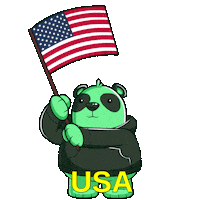 Proud United States Sticker by SuperVerse