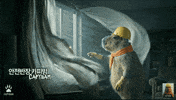 Wind Oops GIF